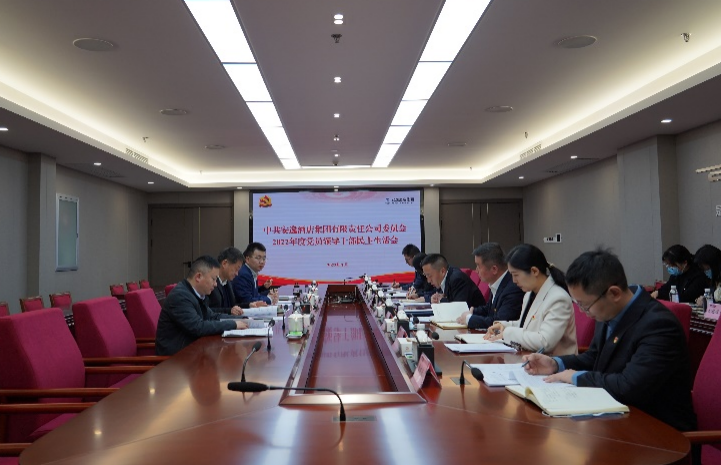 尊龙集团党委书记、董事长任丁出席安逸酒店集团2022年度党员领导干部民主生活会